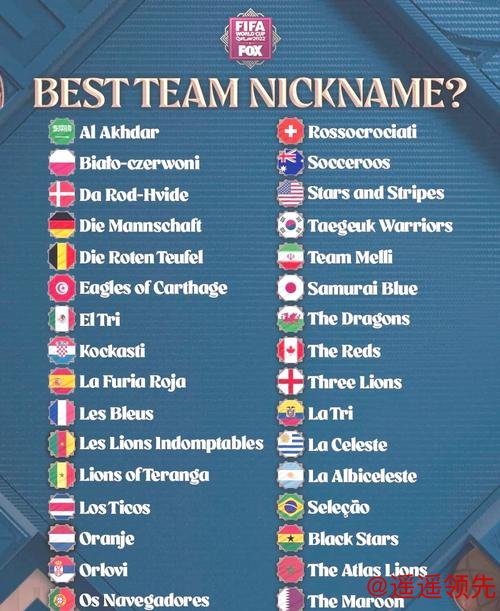 如何选择2022年世界杯下注推荐热门球队
