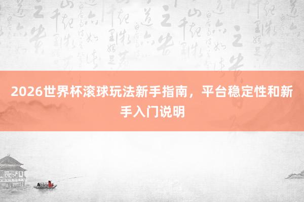 2026世界杯滚球玩法新手指南，平台稳定性和新手入门说明