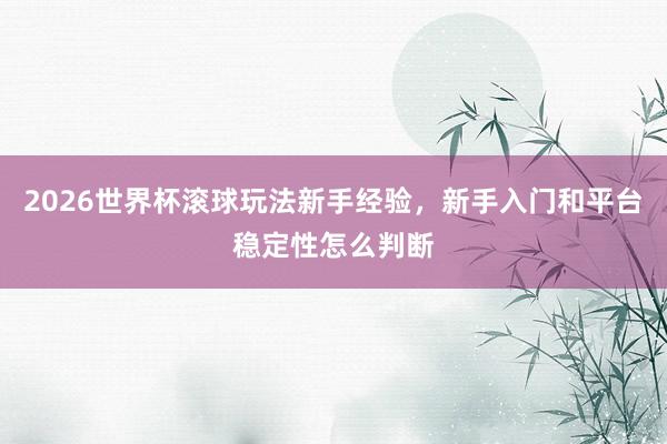 2026世界杯滚球玩法新手经验，新手入门和平台稳定性怎么判断