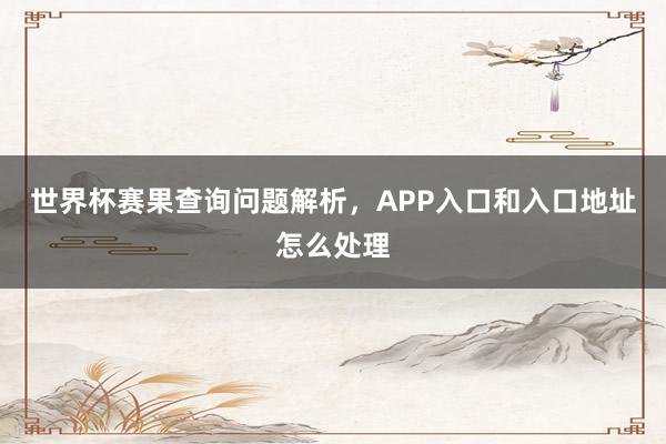 世界杯赛果查询问题解析，APP入口和入口地址怎么处理